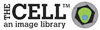 cil logo