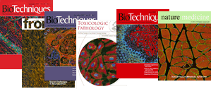 Gallery of Covers
