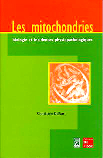 Les Mito Cover 2001