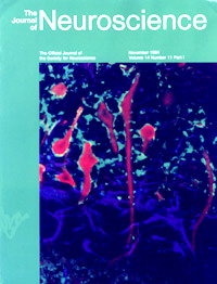 JNS Cover 1994